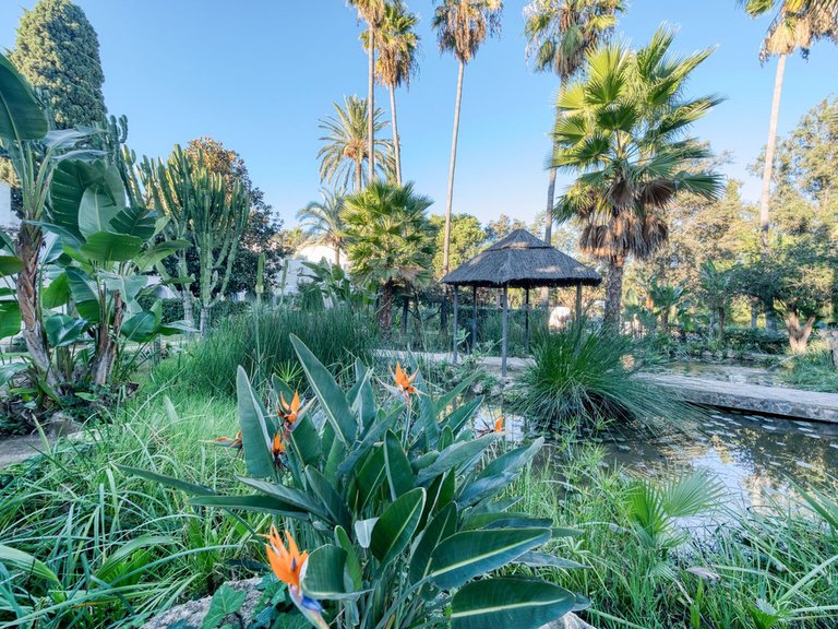 Apartment for Sale in Mijas Golf, Malaga 6