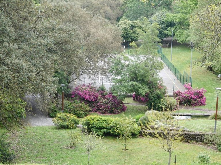 Apartment for Sale in Vila Nova De Gaia, Porto 36