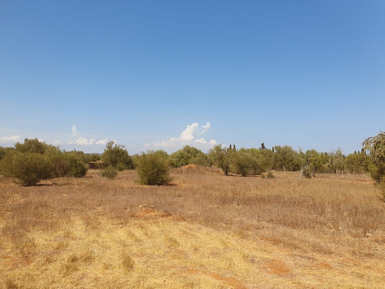 Plot for Sale in Llucmajor, Balearic Islands 2