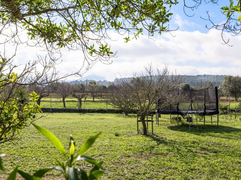 Country House for Sale in Algaida, Balearic Islands 4