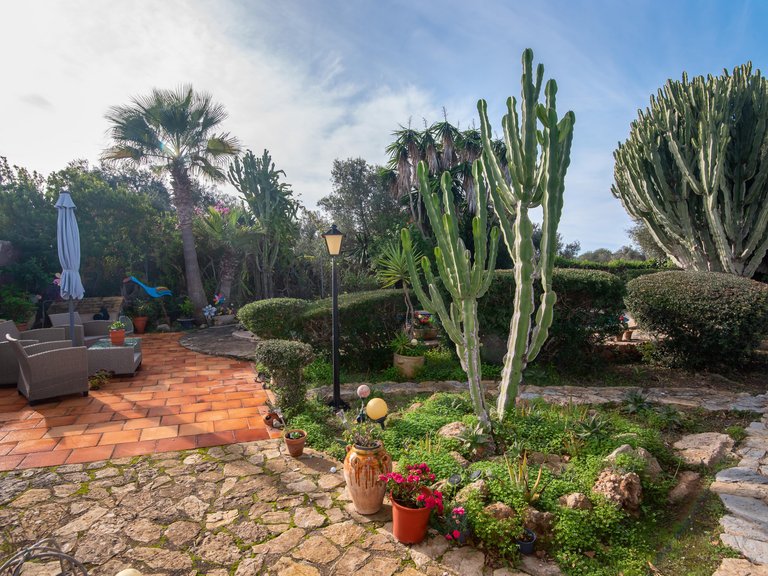 Villa for Sale in Cala Blava, Balearic Islands 19