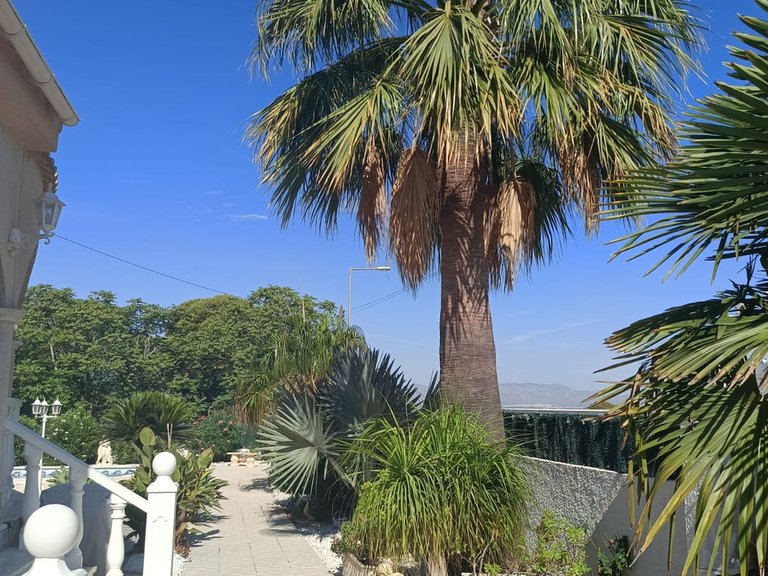 Villa for Sale in La Marina, Alicante 22