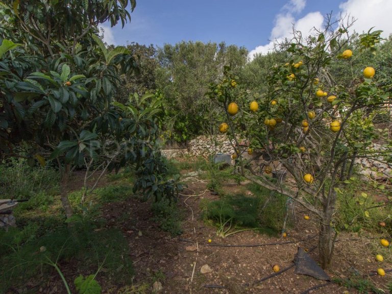 Villa for Sale in Es Castell, Menorca 30