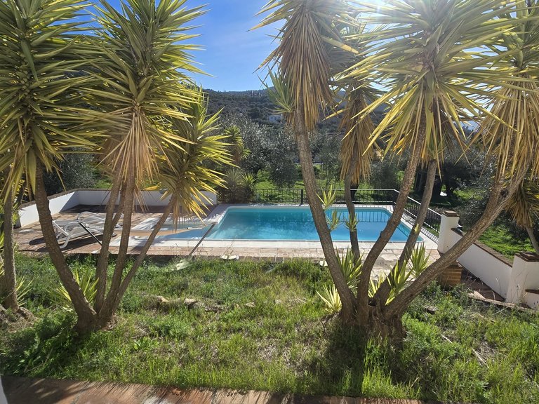 Villa for Sale in Alcaucin, Malaga 12