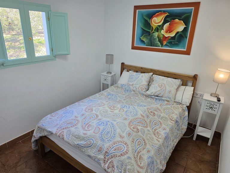 Villa for Sale in Alcaucin, Malaga 33