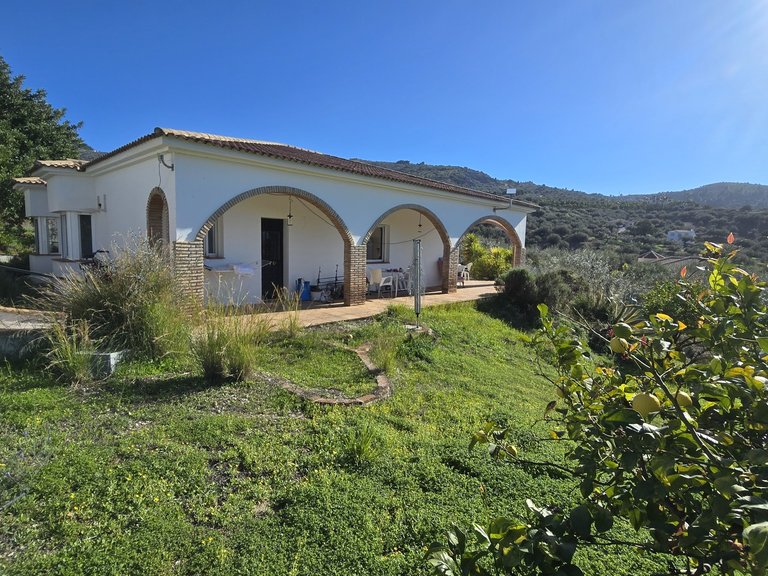 Villa for Sale in Alcaucin, Malaga 37