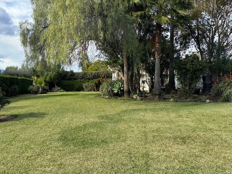 Villa for Sale in Estepona, Malaga 4