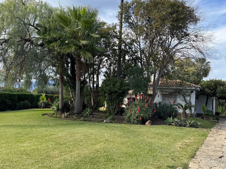 Villa for Sale in Estepona, Malaga 5