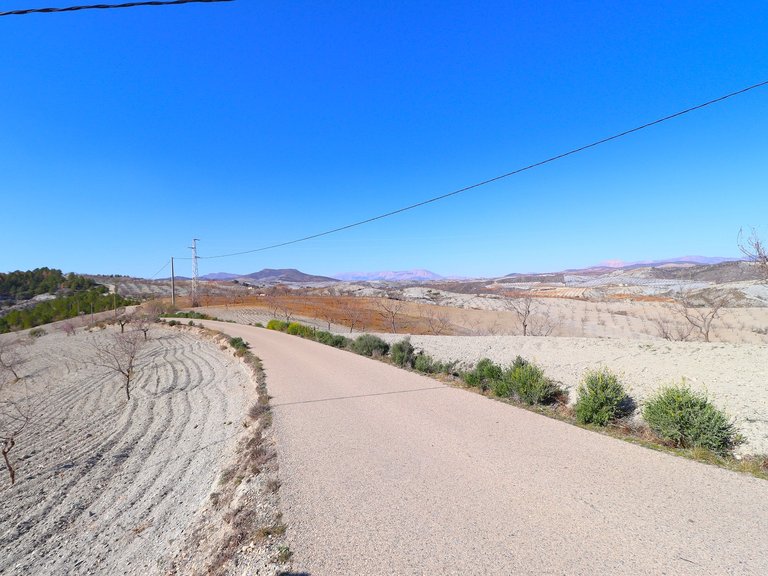 Country House for Sale in Velez-rubio, Almeria 29