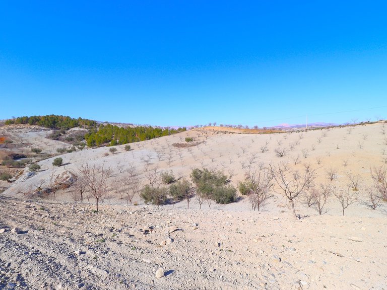 Country House for Sale in Velez-rubio, Almeria 27