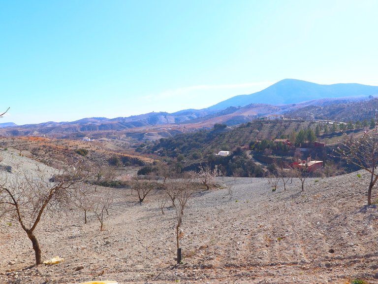 Country House for Sale in Velez-rubio, Almeria 26
