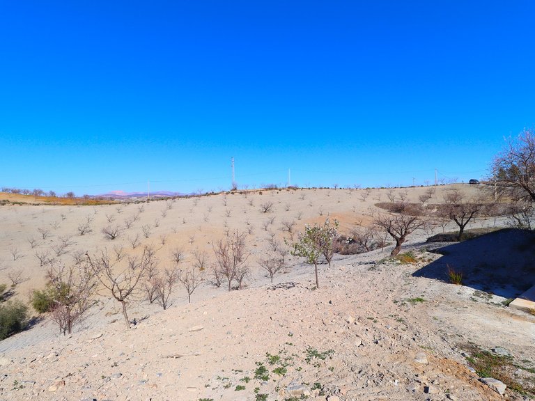 Country House for Sale in Velez-rubio, Almeria 28