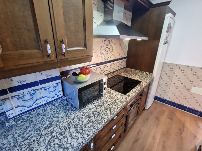 Town House for Sale in Alcaucin, Malaga 11