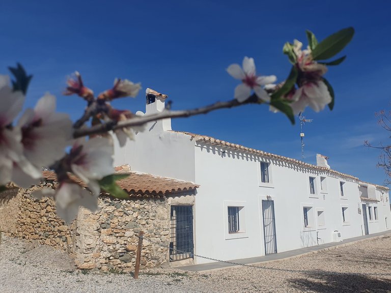 Country House for Sale in Velez-rubio, Almeria 1