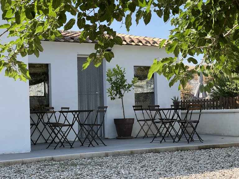 Country House for Sale in Velez-rubio, Almeria 27