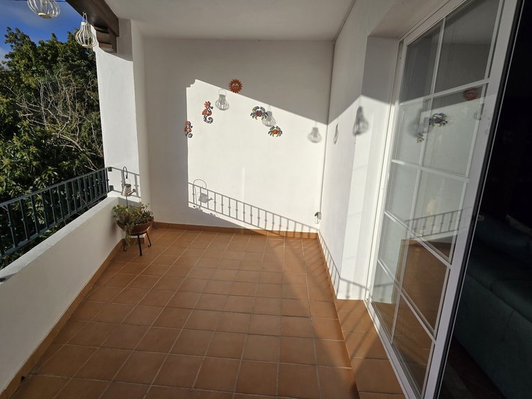 Town House for Sale in Alcaucin, Malaga 20