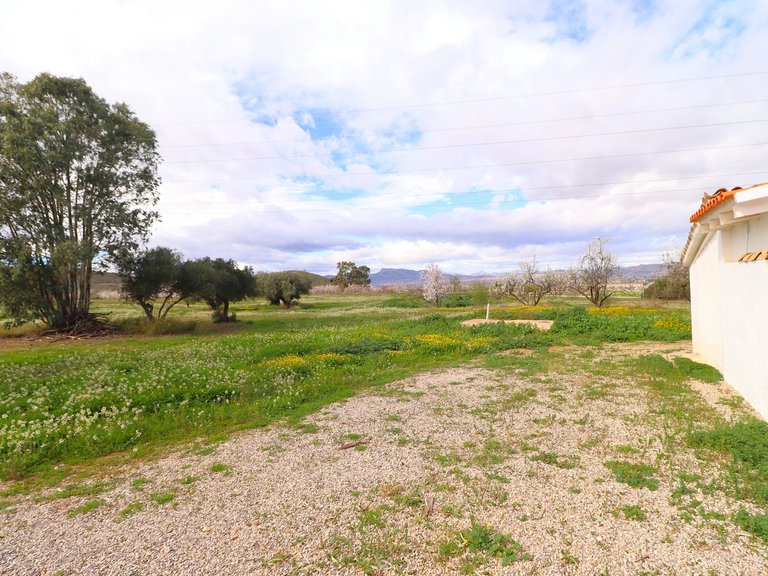 Country House for Sale in Lorca, Murcia 48