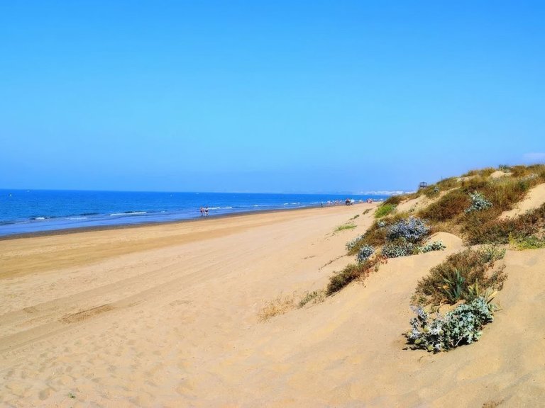 Apartment for Sale in Elviria, Malaga 5