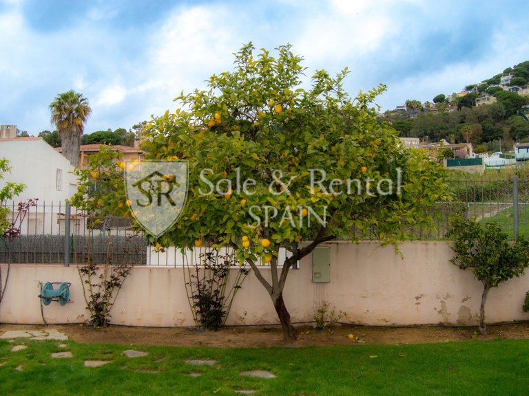 Villa for Sale in Lloret De Mar, Gerona 43