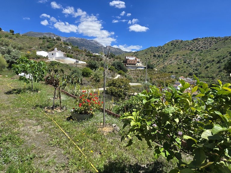 Villa for Sale in Vinuela, Malaga 4