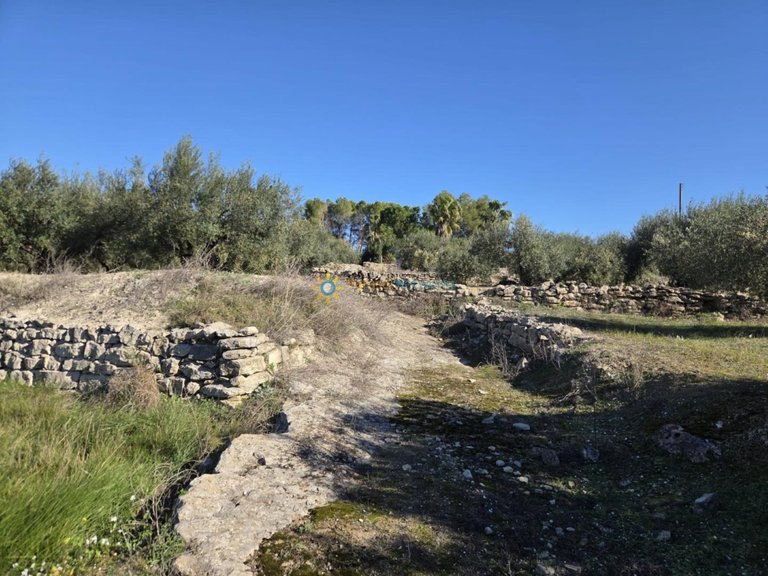 Plot for Sale in Beniganim, Valencia 15