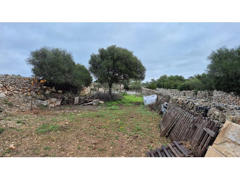 Country House for Sale in Sant Lluis, Menorca 45