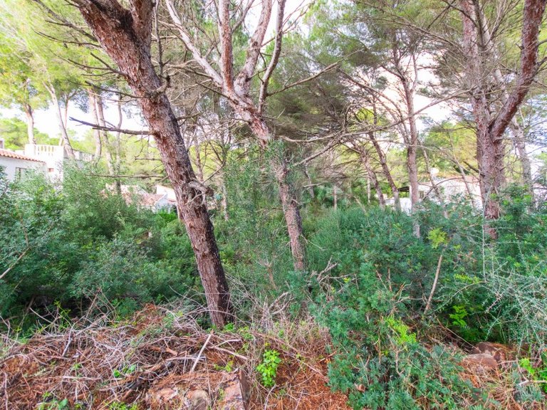 Plot for Sale in Son Parc, Menorca 2