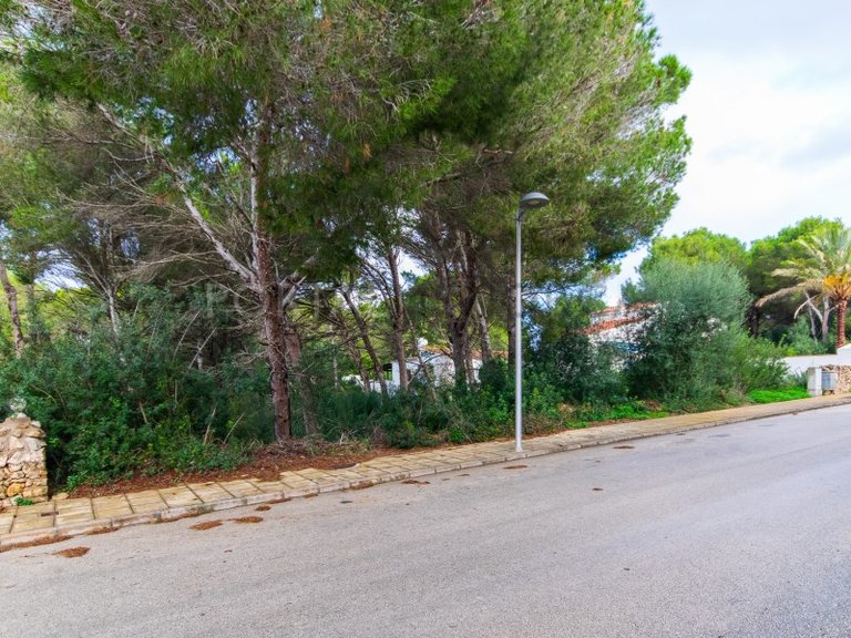 Plot for Sale in Son Parc, Menorca 3