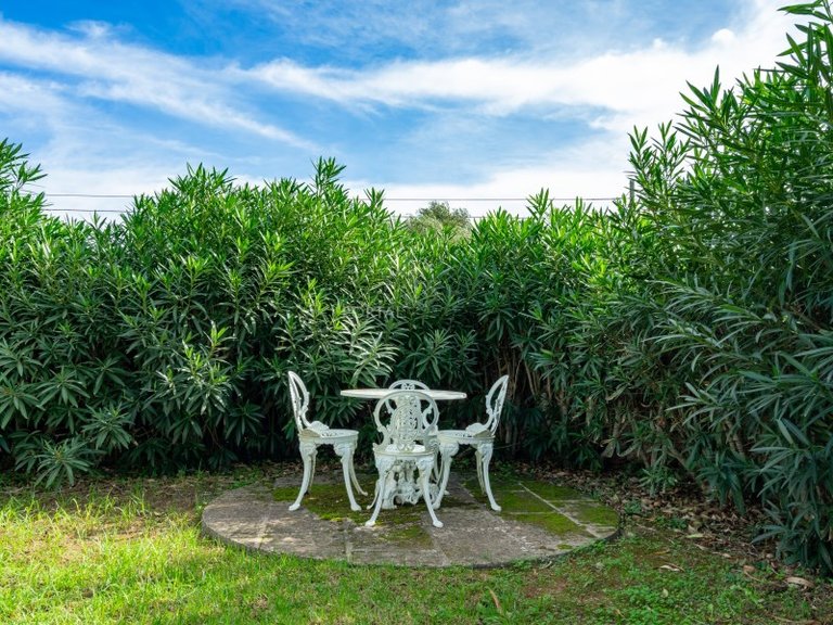 Country House for Sale in Son Vilar, Menorca 10