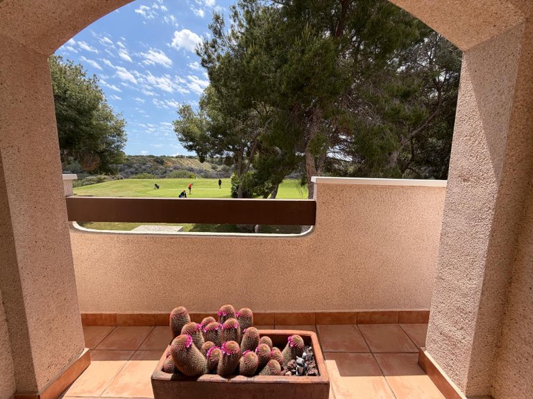 Apartment for Sale in Las Ramblas, Alicante 18