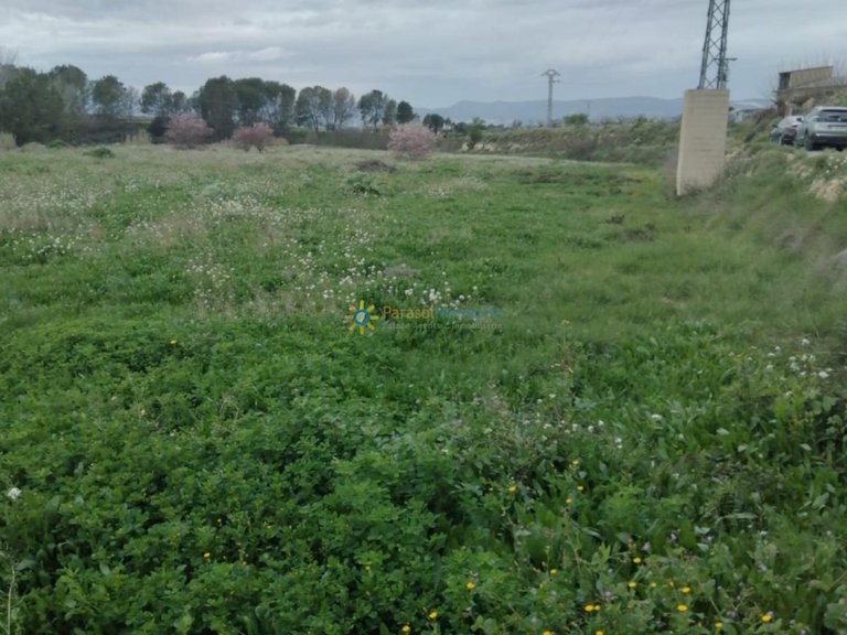 Plot for Sale in La Pobla Del Duc, Valencia 4