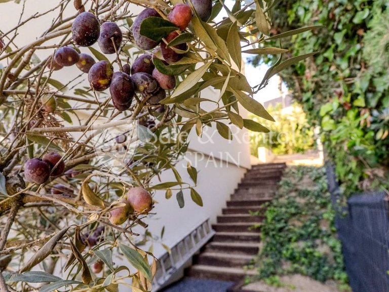 Villa for Sale in Lloret De Mar, Gerona 24