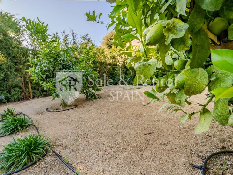 Villa for Sale in Lloret De Mar, Gerona 26