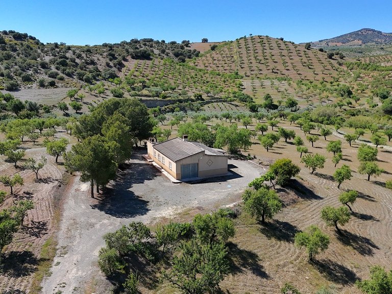 Country House for Sale in Velez-rubio, Almeria 8