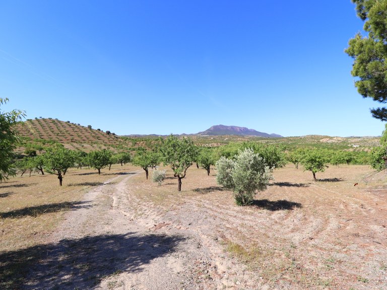 Country House for Sale in Velez-rubio, Almeria 37