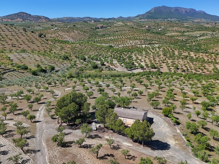 Country House for Sale in Velez-rubio, Almeria 6