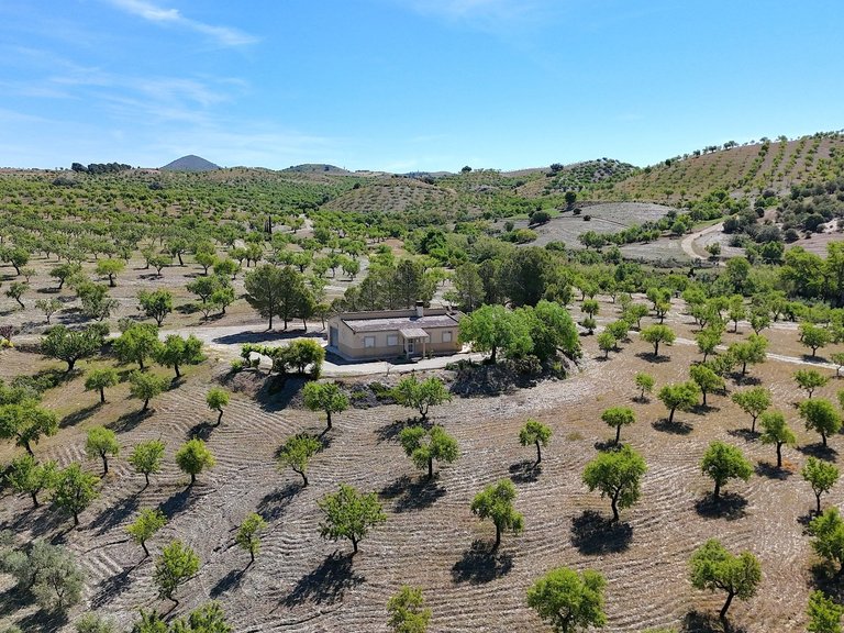 Country House for Sale in Velez-rubio, Almeria 3