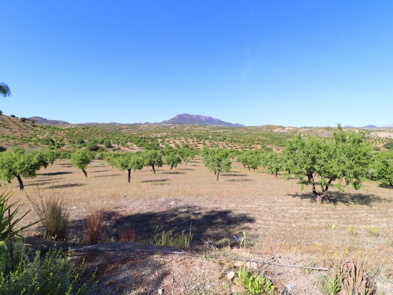 Country House for Sale in Velez-rubio, Almeria 33
