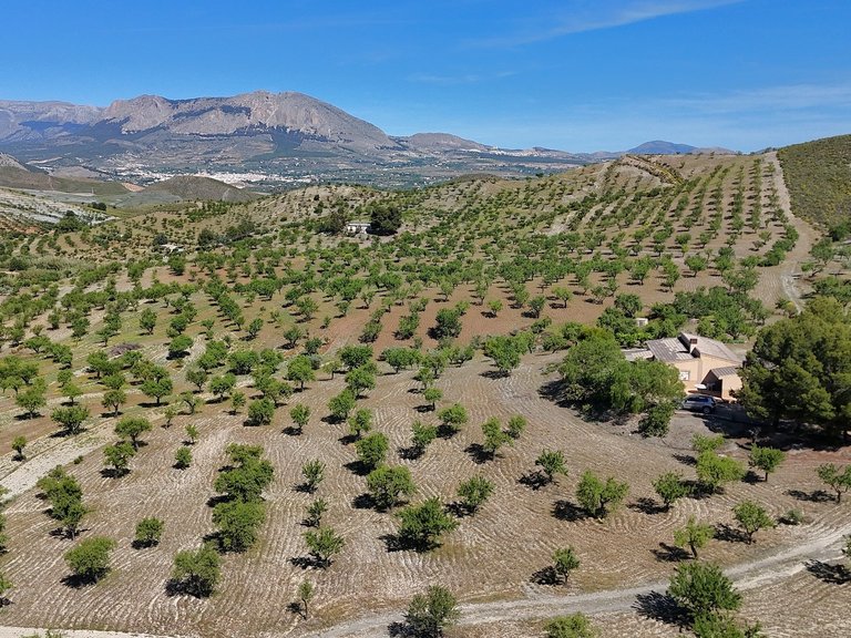 Country House for Sale in Velez-rubio, Almeria 4