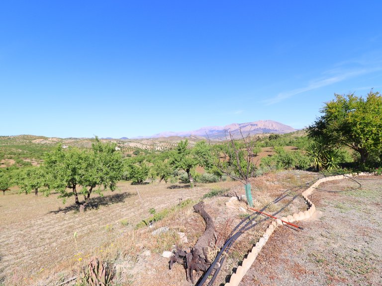 Country House for Sale in Velez-rubio, Almeria 32