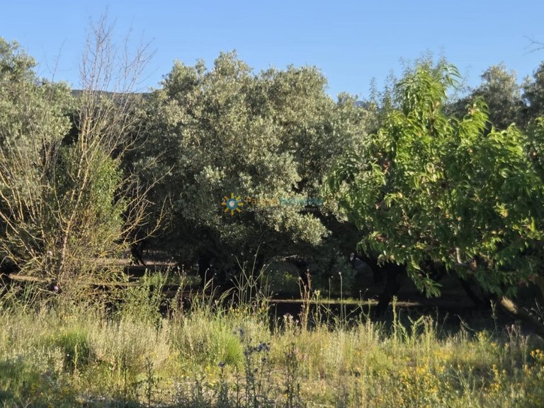Plot for Sale in Belgida, Valencia 11