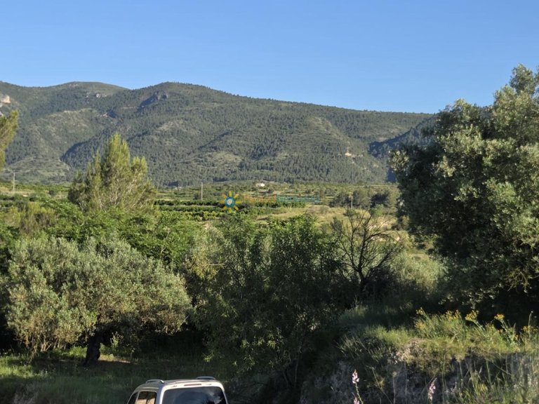 Plot for Sale in Belgida, Valencia 10