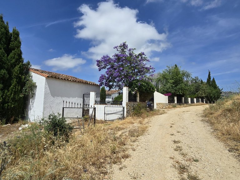 Villa for Sale in Periana, Malaga 39