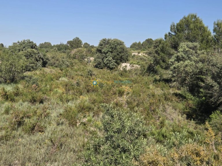 Plot for Sale in El Palomar, Valencia 2