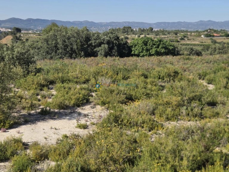 Plot for Sale in El Palomar, Valencia 1