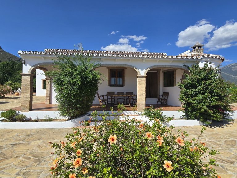 Villa for Sale in Alcaucin, Malaga 6