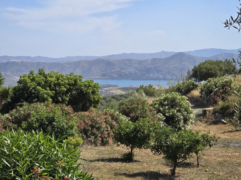 Villa for Sale in Alcaucin, Malaga 11