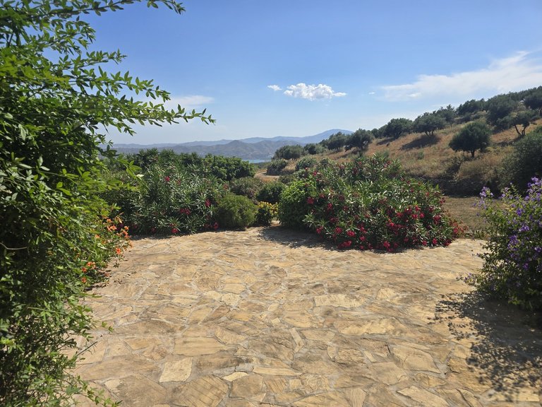 Villa for Sale in Alcaucin, Malaga 39