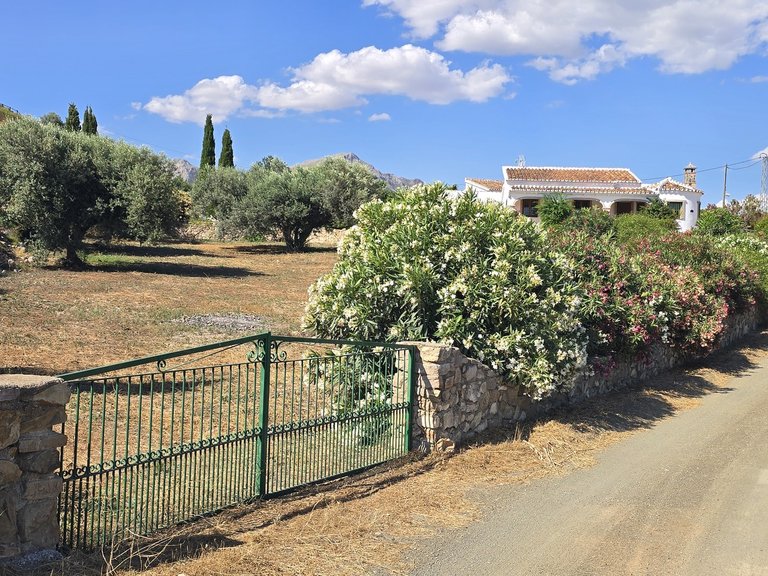 Villa for Sale in Alcaucin, Malaga 48