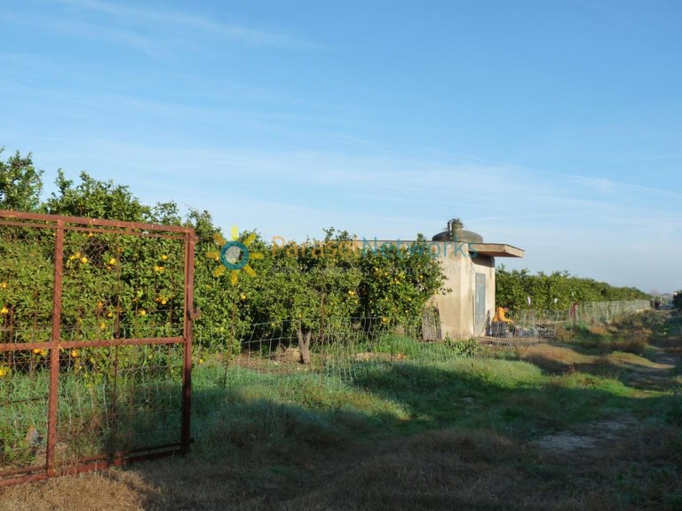 Plot for Sale in Oliva, Valencia 1